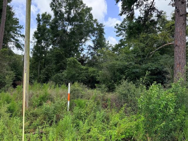 Land for sale in New Brockton, Alabama
