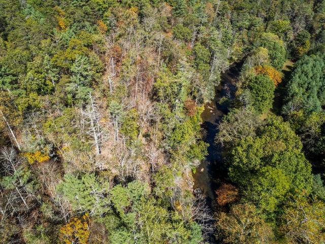 Land for sale in Virginia
