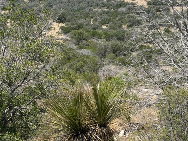 Farm for sale in Edwards, Texas