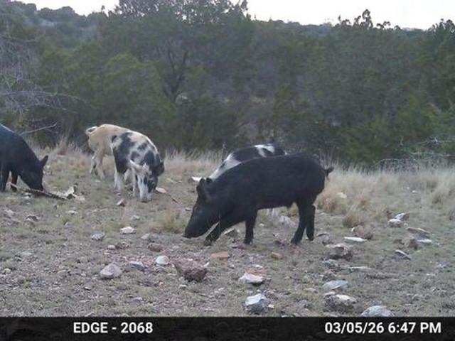 Farm for sale in Edwards, Texas