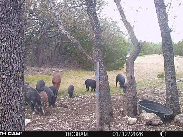 Farm for sale in Edwards, Texas