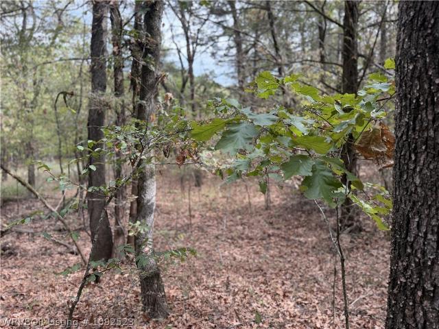 Land for sale in Wilburton, Latimer County