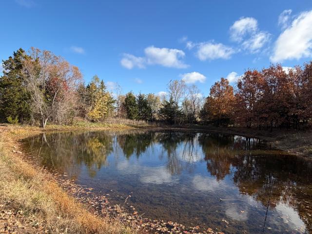 Land for sale in Weaubleau, Missouri