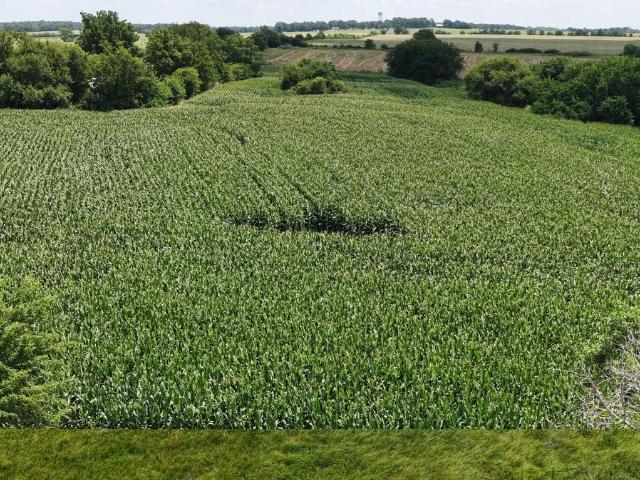 Land for sale in Barton, Missouri