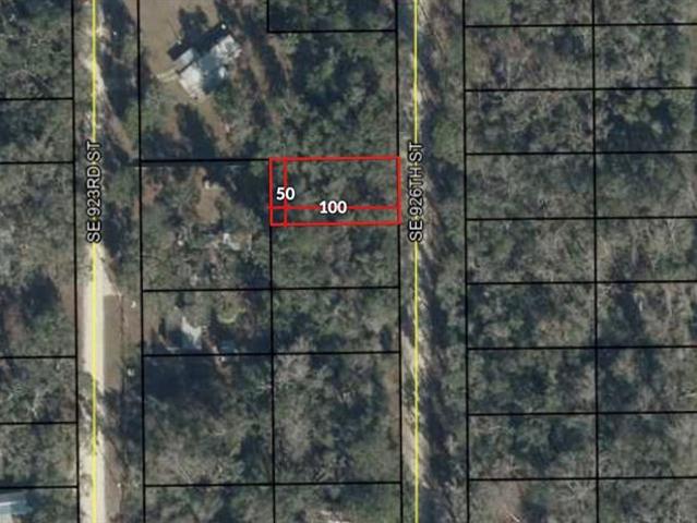 Land for sale in Dixie, Florida