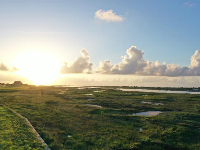 Land for sale in Calhoun, Texas