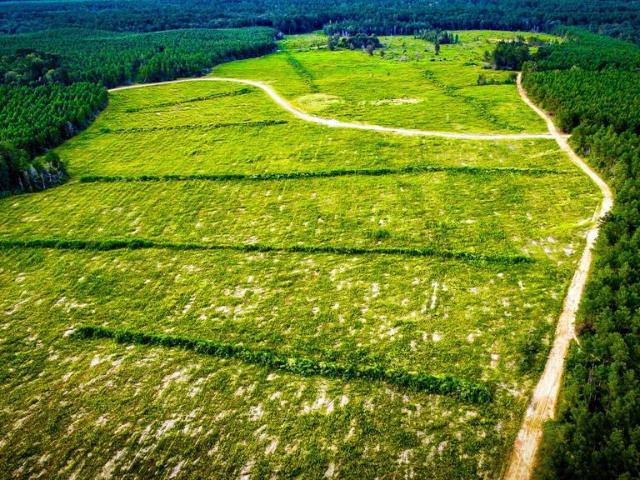 Land for sale in Livingston, Polk County