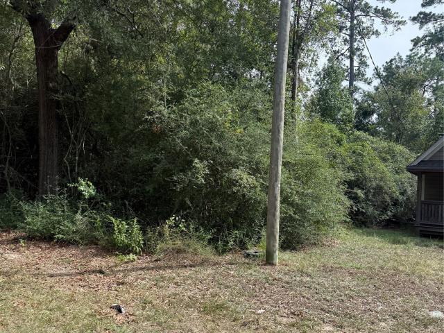 Land for sale in Onalaska, Polk County