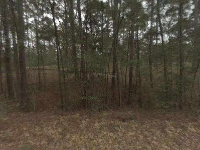 Land for sale in Coldspring Land for sale in Coldspring