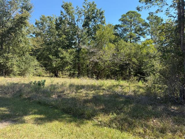Land for sale in Stephen Creek, Coldspring