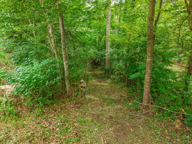 Land for sale in Virginia
