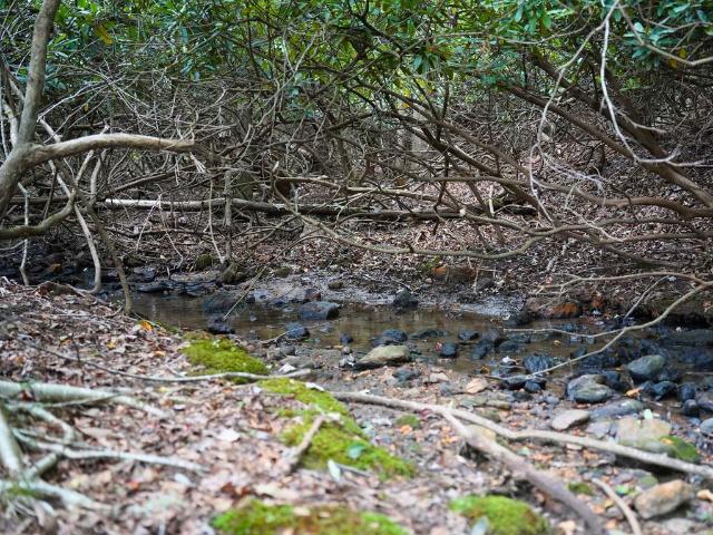 Land for sale in Virginia