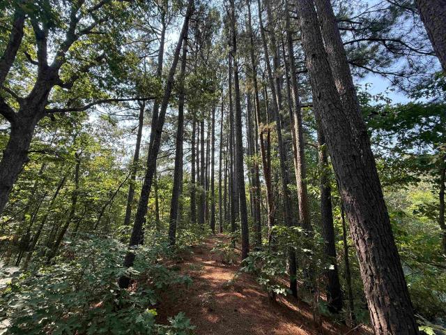 Land for sale in Ark