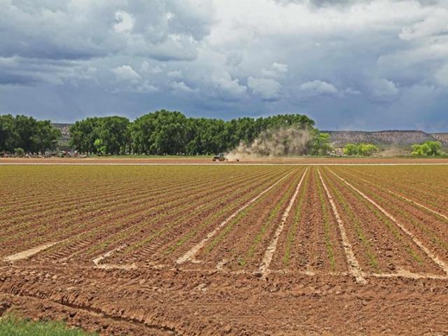 Land for sale in Montrose, Montrose County