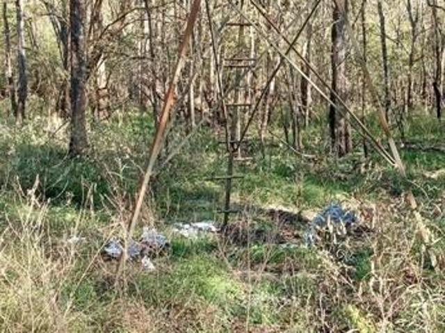 Land for sale in Avery, Red River County