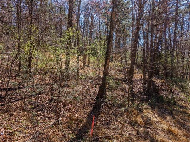 Land for sale in Virginia