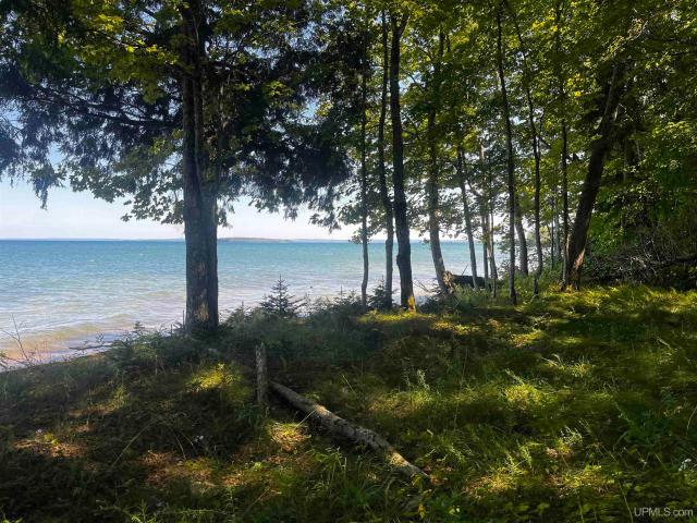 Land for sale in Onota Township, Alger County