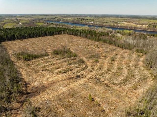Land for sale in International Falls, Minnesota