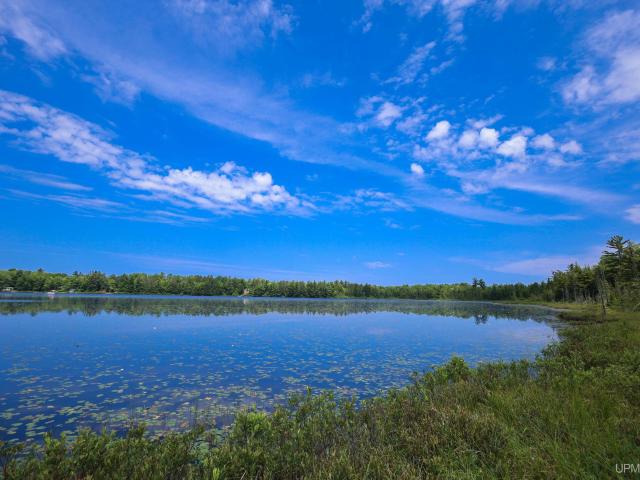 Land for sale in Deerton, Michigan