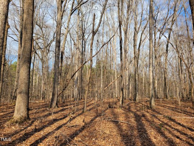Land for sale in Chatham, North Carolina