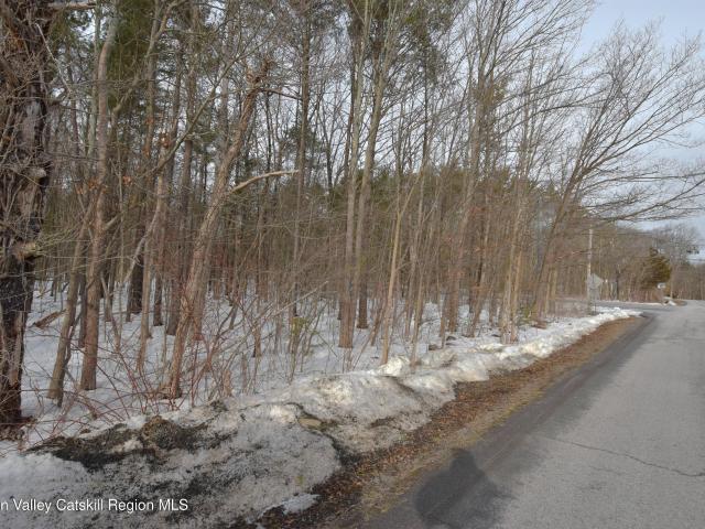Land for sale in Acra, New York