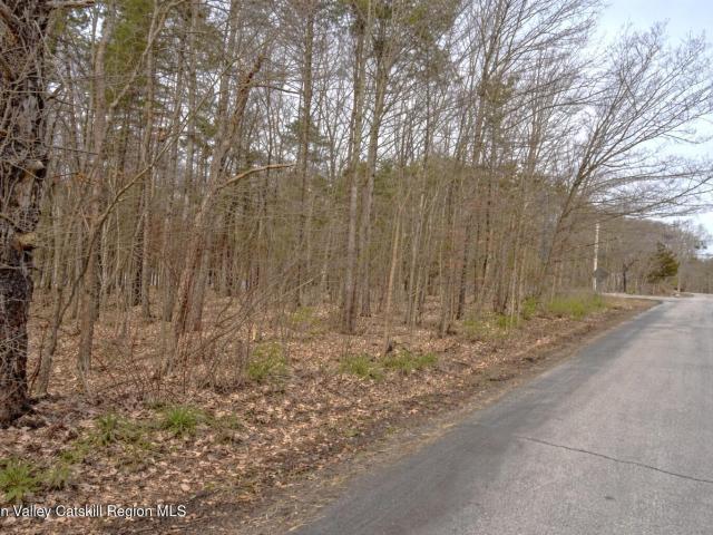 Land for sale in Acra, New York