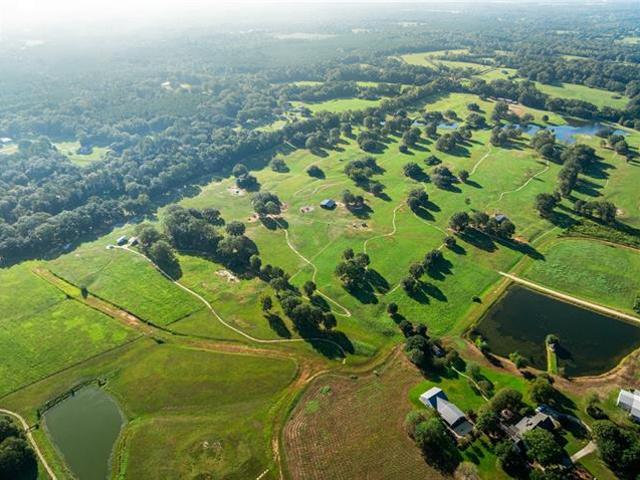 Land for sale in Franklinton, Louisiana