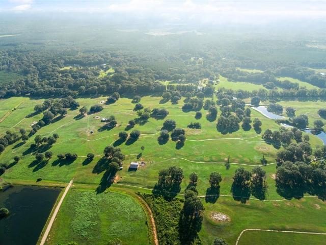 Land for sale in Franklinton, Louisiana