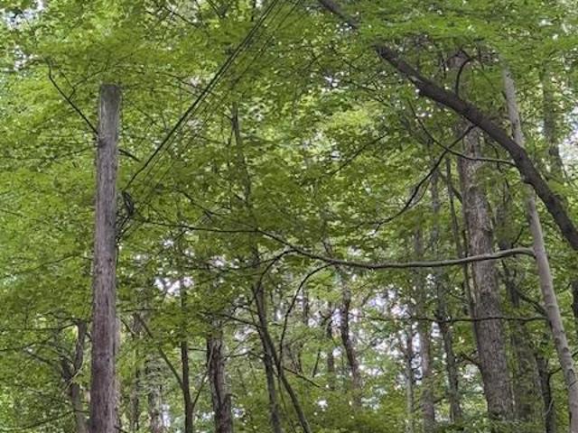Land for sale in Belington, West Virginia