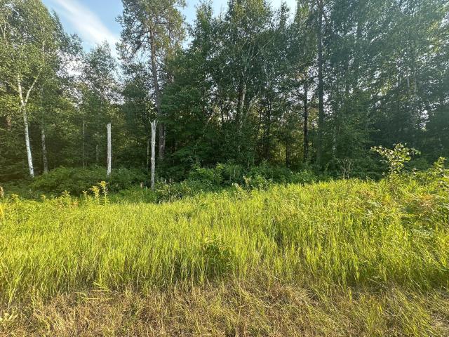 Land for sale in Crosslake, Minnesota