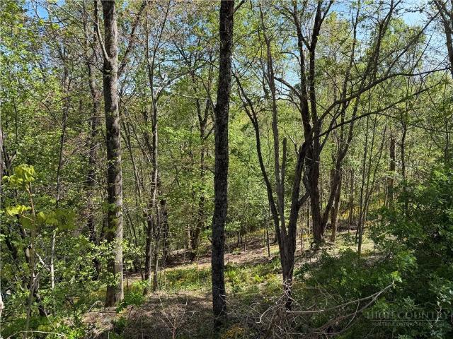 Land for sale in Watauga, North Carolina