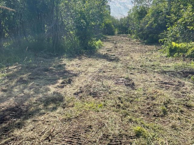 Land for sale in Carlton, Minnesota