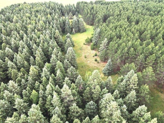 Land for sale in Brainerd, Minnesota