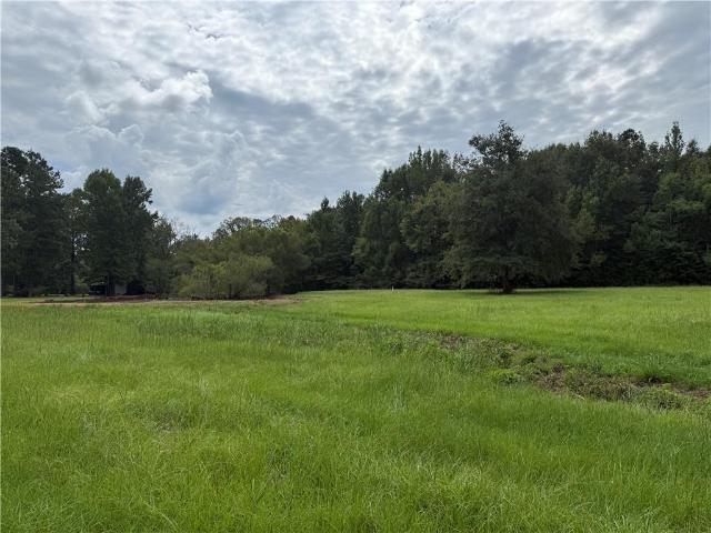 Land for sale in Deville, Rapides Parish