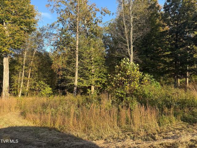 Land for sale in Tennessee
