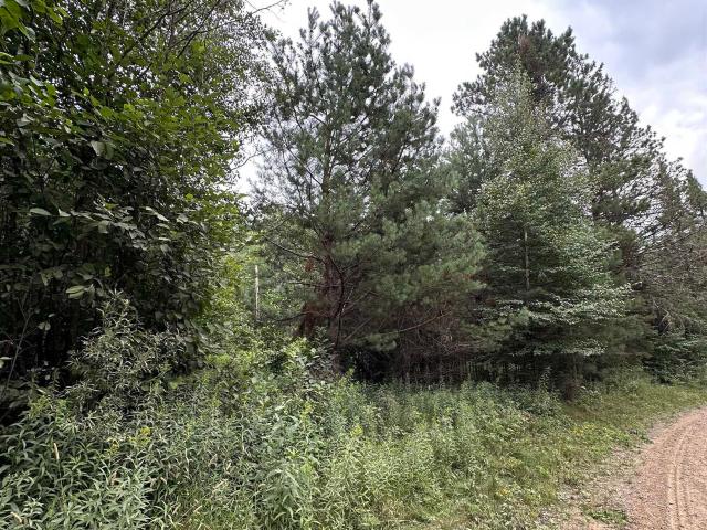 Land for sale in Town of Phelps, Vilas County