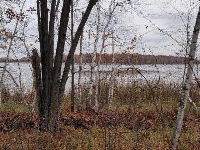 Land for sale in Todd, Minnesota