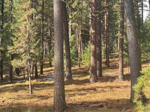 Land for sale in New Meadows, Idaho
