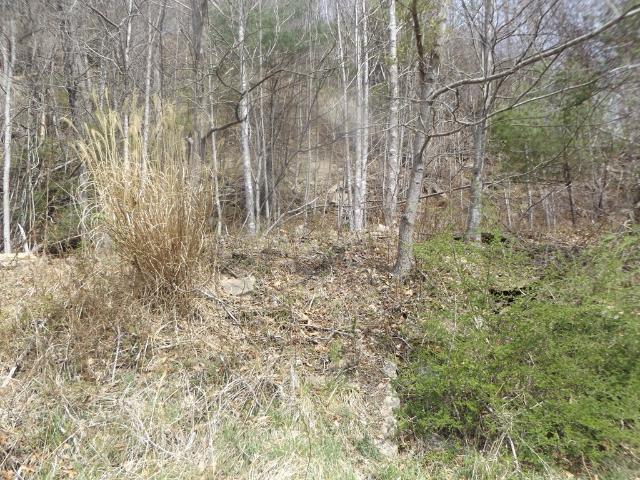 Land for sale in Virginia