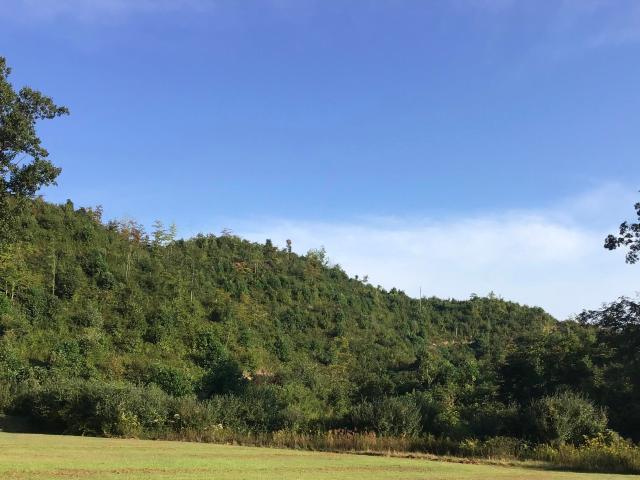 Land for sale in Virginia