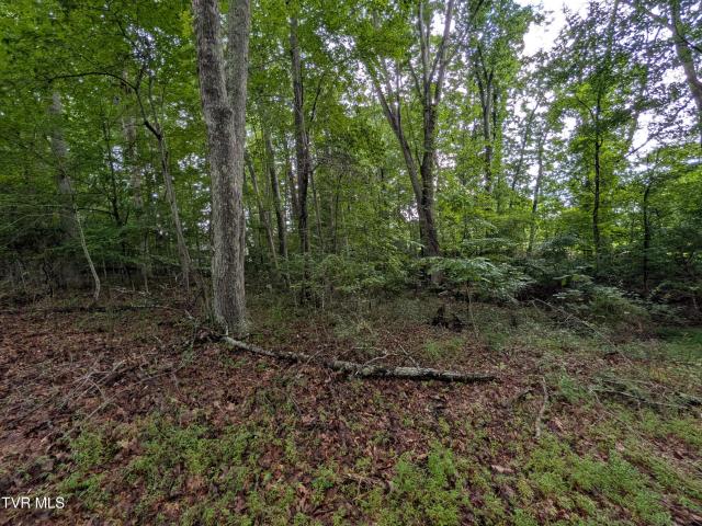Land for sale in Virginia