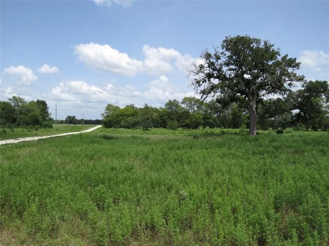 Land for sale in Lovelady, Texas