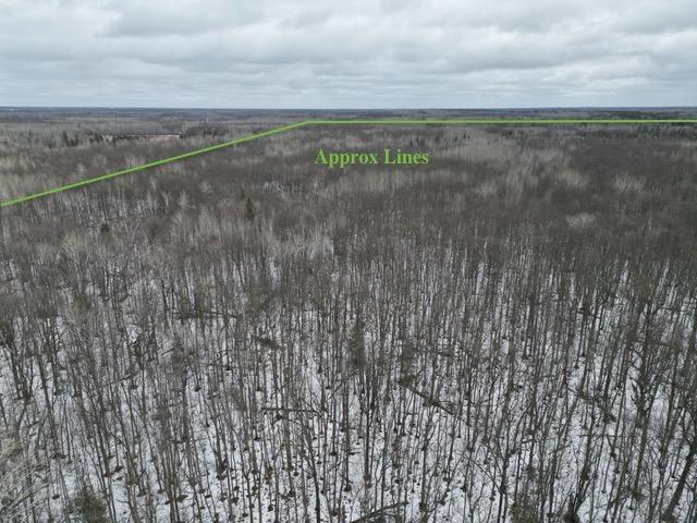 Land for sale in Beltrami, Minnesota