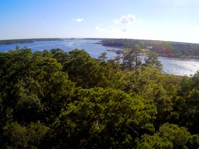 Land for sale in Walton, Florida