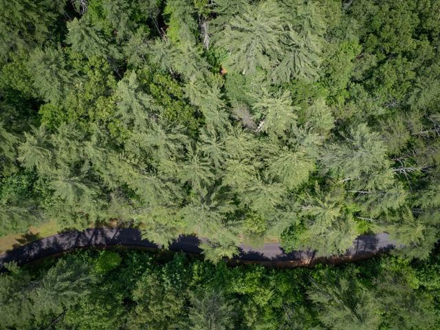 Land for sale in Hayesville, North Carolina