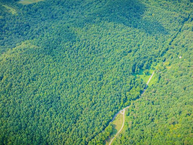 Land for sale in Tennessee