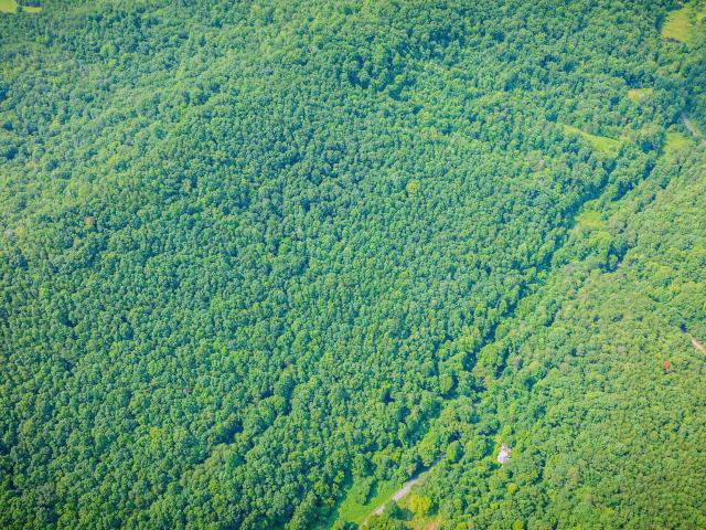 Land for sale in Tennessee