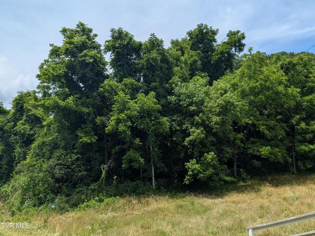 Land for sale in Duffield, Scott County