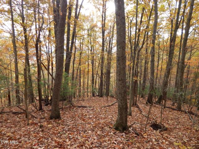 Land for sale in Virginia