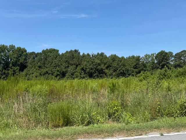 Land for sale in Nichols, South Carolina